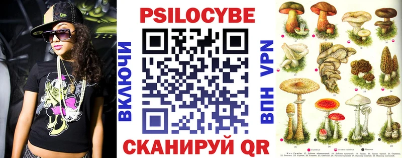 Псилоцибиновые грибы Psilocybe Тарко-Сале